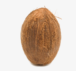 一个椰子素材