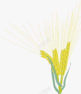 金色麦子手绘图标图标