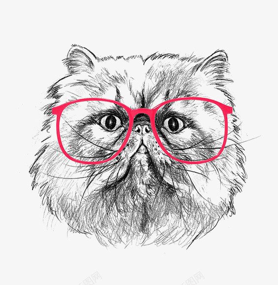 手绘波斯猫png免抠素材_88icon https://88icon.com 卡通猫咪 波斯猫插画 猫咪茶壶 素描 胖猫咪