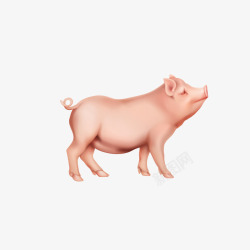 手绘动物小胖猪矢量图素材