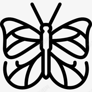昆虫设计常见的虎蝶图标图标
