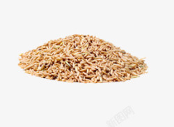 农产品小麦素材