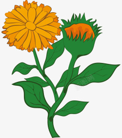 水彩橘色花朵装饰图素材