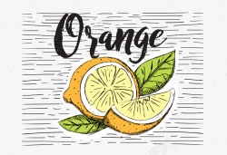 彩绘水果橘子矢量图素材