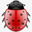 错误动物昆虫瓢虫phuzionpng免抠素材_88icon https://88icon.com animal bug insect ladybird 动物 昆虫 瓢虫 错误