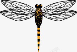 蜻蜓卡通昆虫标本矢量图素材