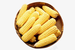 玉米棒素材