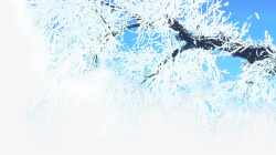 冬日白色雪球树木造型素材