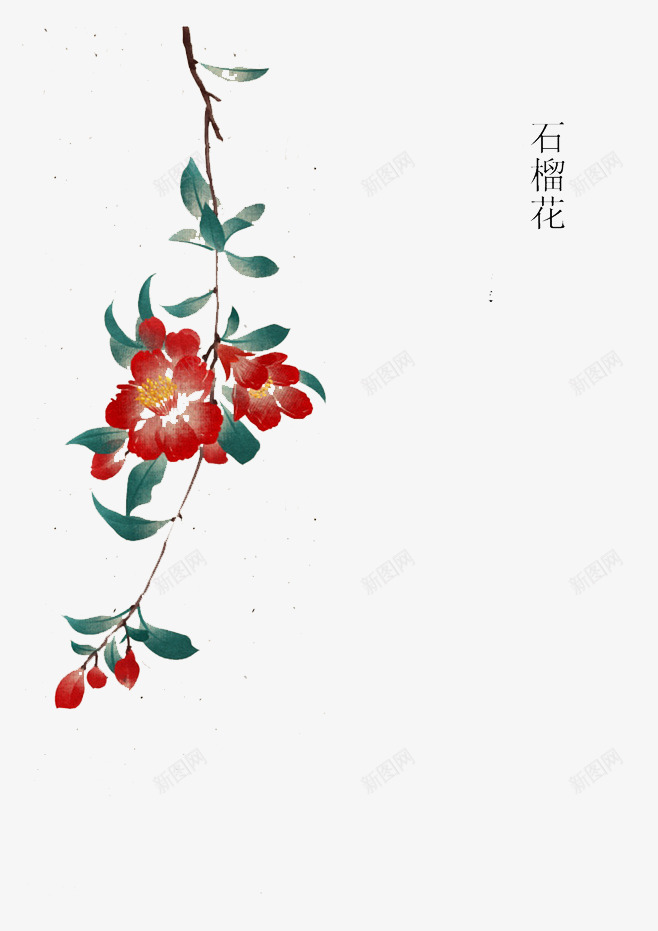 红色石榴花png免抠素材_88icon https://88icon.com 创意背景 植物 石榴花 红色 绿叶 装饰