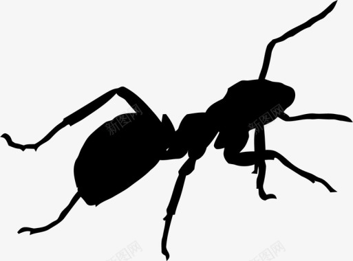 蚂蚁爬虫图标图标