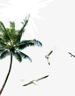 热带风情椰树海鸟素材