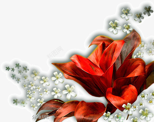 红色百合花边框png免抠素材_88icon https://88icon.com 百合花 红色 边框