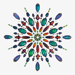 方阵彩色甲壳虫图标高清图片