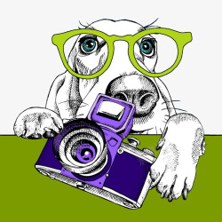 戴眼镜的狗狗拿着相机的狗狗高清图片