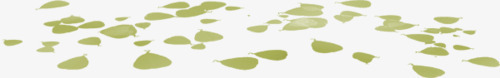 漂浮的绿萍png免抠素材_88icon https://88icon.com 水生植物 绿色 绿萍 藻类植物