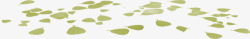 藻类植物漂浮的绿萍高清图片