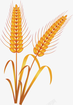 小麦食物手绘矢量图素材