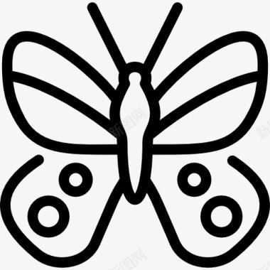 昆虫设计阿波罗蝴蝶图标图标