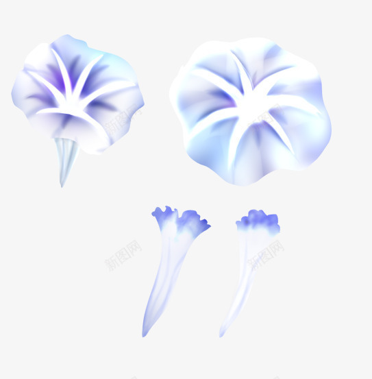 手绘水彩喇叭花png免抠素材_88icon https://88icon.com 喇叭花 手绘 水彩 花 花卉