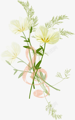 创意白色的花卉植物造型合成效果素材