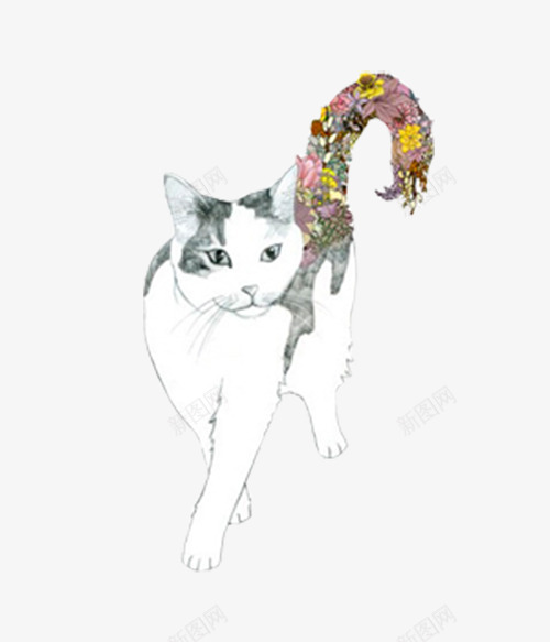 猫咪的花纹尾巴png免抠素材_88icon https://88icon.com 尾巴 猫咪 花纹