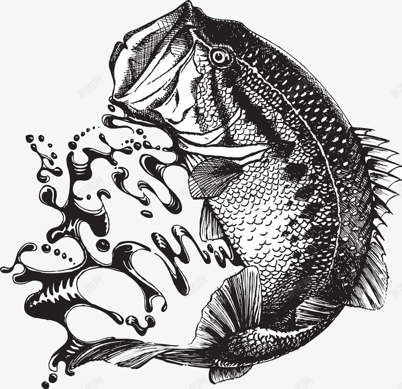 浪花和黑色鱼png免抠素材_88icon https://88icon.com 卡通动物 水中生物 海洋生物 海洋鱼 海鱼 漫画鱼 矢量鱼