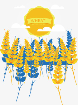 金色田地太阳下的金色小麦矢量图高清图片