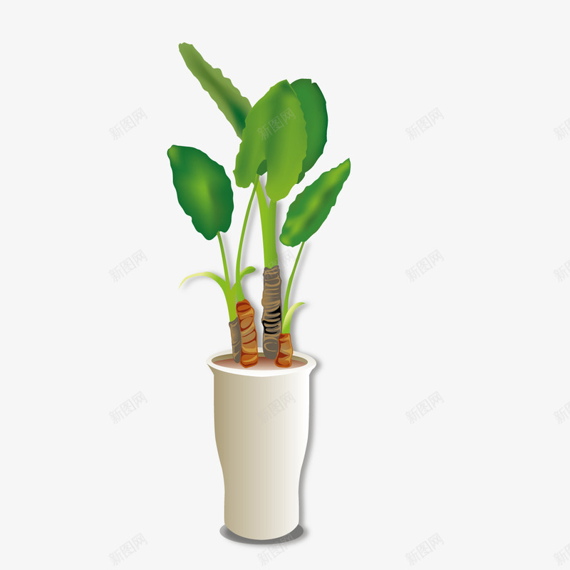 大盆子png免抠素材_88icon https://88icon.com 叶子 家具 摆设 植物 盆子 装饰