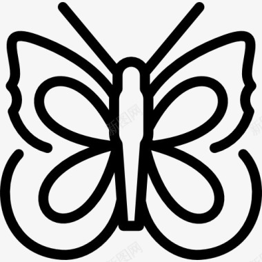 大理丽江大理石白色蝴蝶图标图标