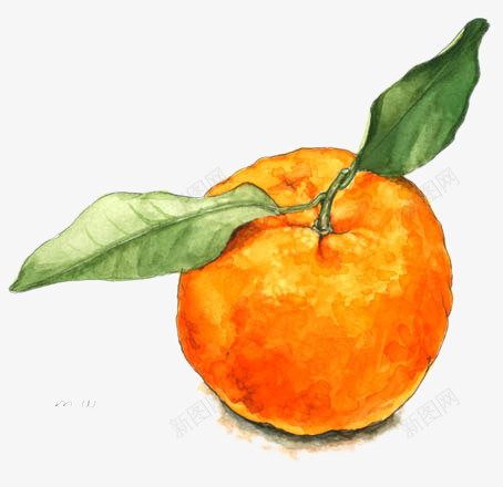 成熟的橘子png免抠素材_88icon https://88icon.com 成熟 手绘 橘子 水果 绿叶 黄色