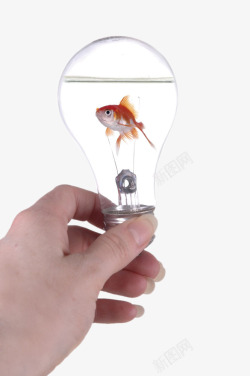 创意灯泡中的金鱼素材