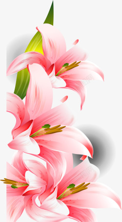 绿色花蕊粉色喇叭花装饰高清图片