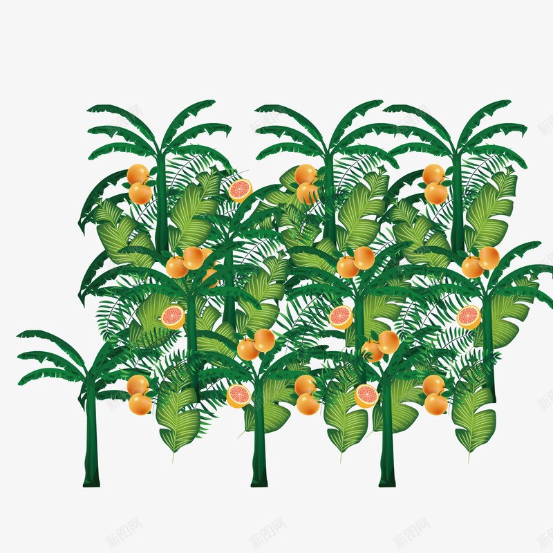 嫩绿的热带植物边框矢量图ai免抠素材_88icon https://88icon.com 嫩绿色 植物边框 装饰图案 边框 边框纹理 矢量图