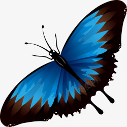 蓝色飞舞的蝴蝶图素材