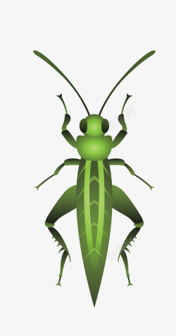 绿色长触角昆虫素材