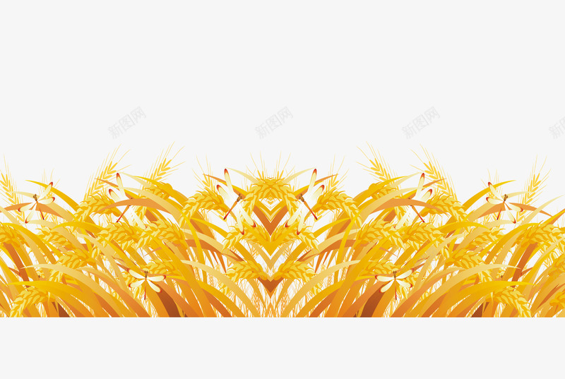 金黄麦子png免抠素材_88icon https://88icon.com 小麦 成熟 收获 黄色