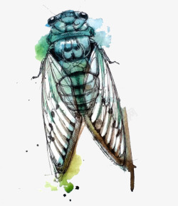 创意昆虫水彩画素材