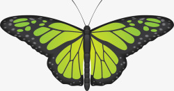 绿色弧形蝴蝶矢量图素材