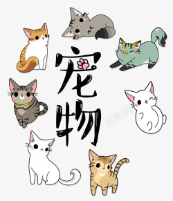 宠物之家卡通宠物猫高清图片