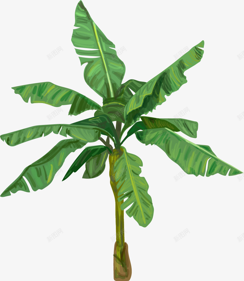 绿色植物装饰元素png免抠素材_88icon https://88icon.com 手绘植物 绿色植物 芭蕉叶 芭蕉树