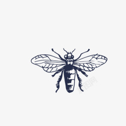 蚊子动物昆虫单色黑色素材