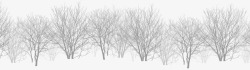 枯树林雪地上分叉的枯树林高清图片