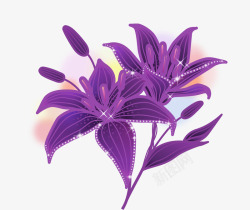 紫色唯美百合花矢量图素材