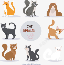 8款可爱猫咪素材