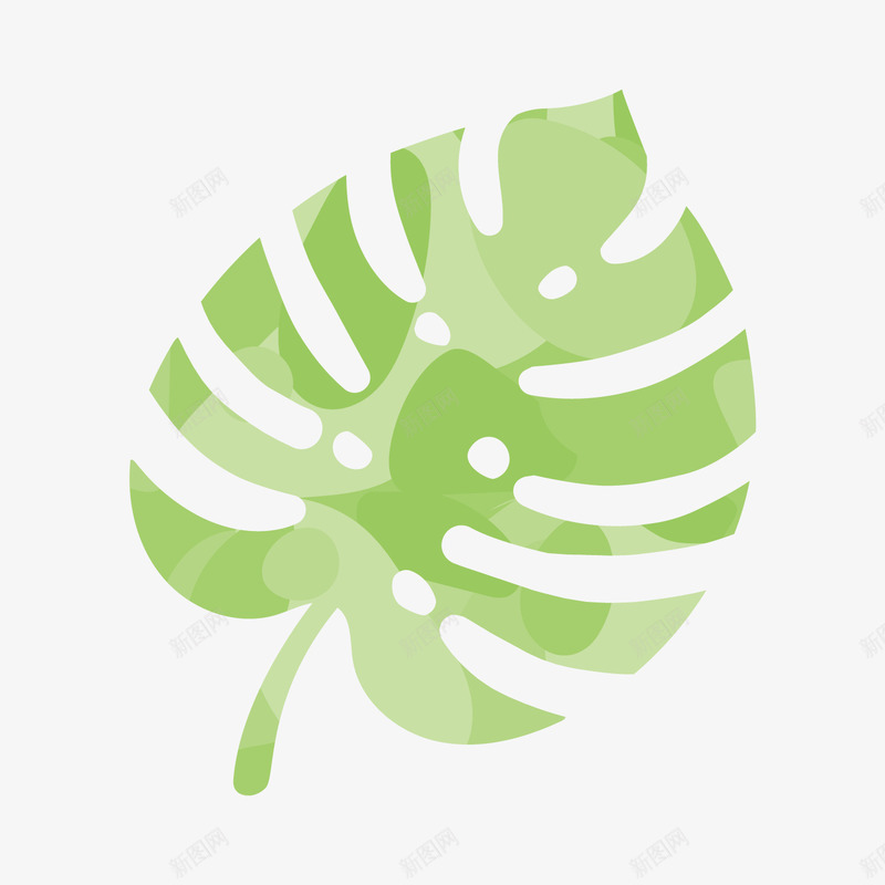 热带植物叶子png免抠素材_88icon https://88icon.com 卡通植物 小清新 热带植物 绿色叶子 背景装饰