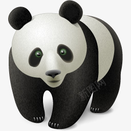 熊猫熊猫图标图标