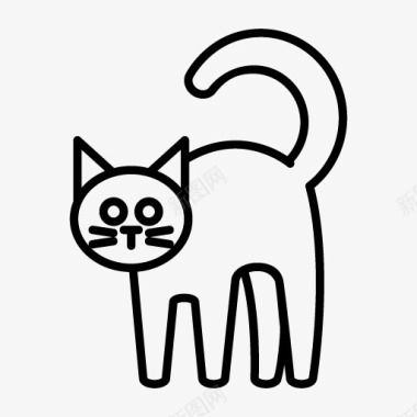 一只肥猫简笔猫咪图标图标