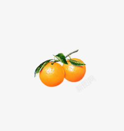 橙色果子橘子高清图片