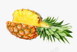 切开的菠萝热带水果素材
