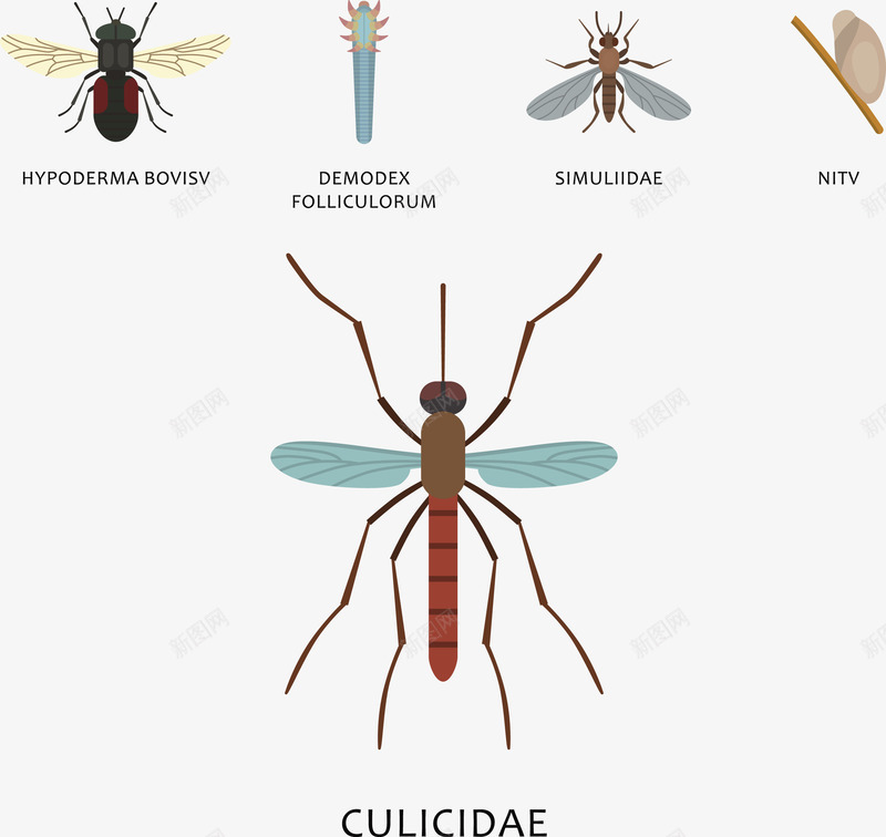 蚊子和昆虫矢量图eps免抠素材_88icon https://88icon.com 昆虫 昆虫png 昆虫矢量图 苍蝇 蚊子 矢量图